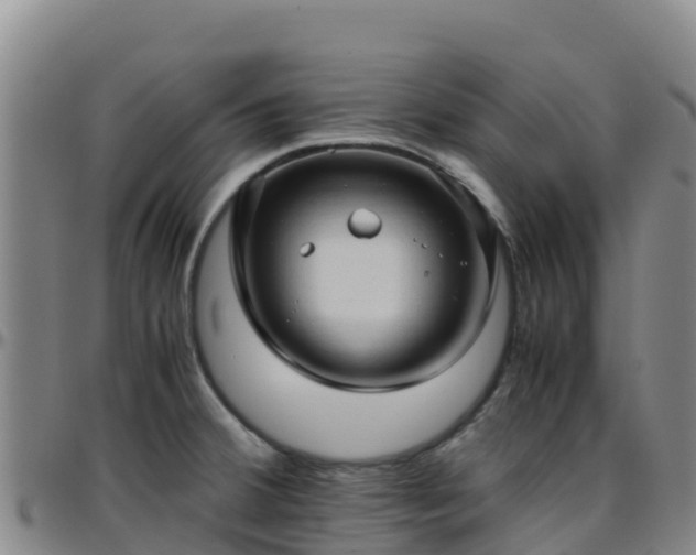 X0000096461380200801311503
