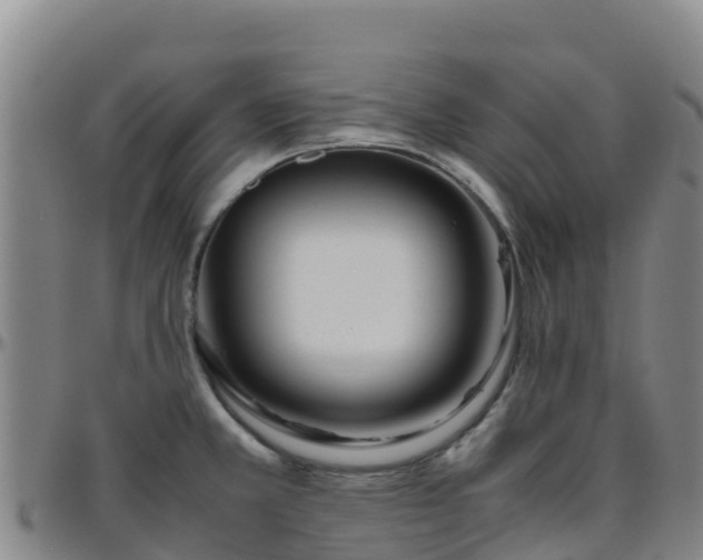 X0000096461381200801311503