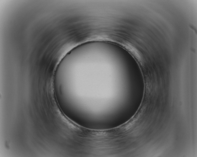 X0000096461382200801311503