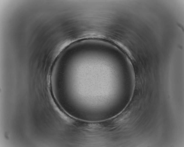 X0000096461383200801311503