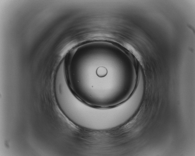 X0000096461384200801311503