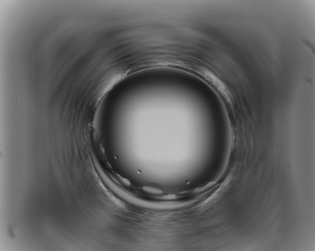 X0000096461385200801311503