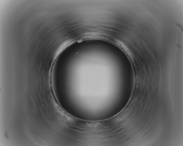 X0000096461386200801311503