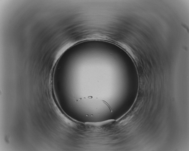 X0000096461387200801311503
