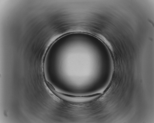 X0000096461388200801311503