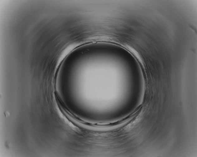 X0000096461389200801311503