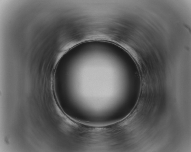 X0000096461390200801311503