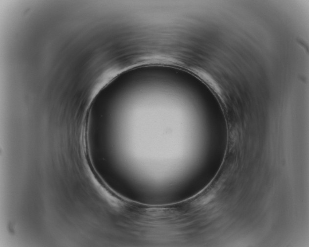 X0000096461391200801311502