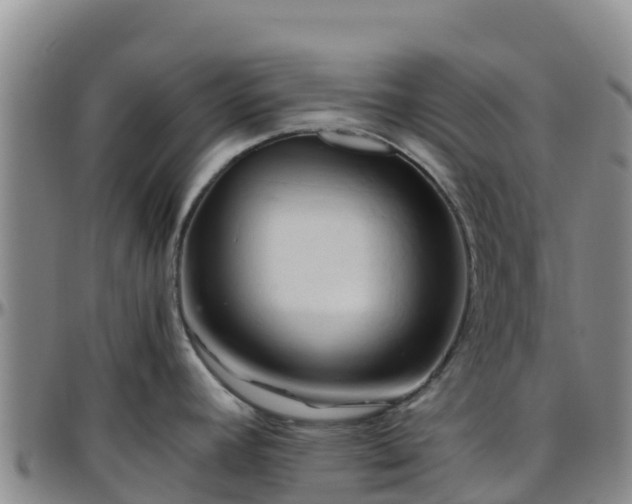 X0000096461392200801311502