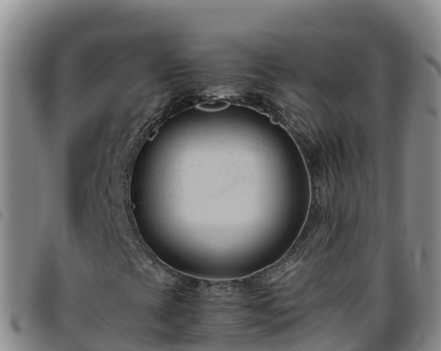 X0000096461393200801311502