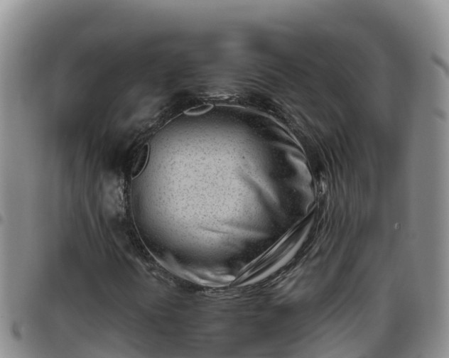 X0000096461394200801311502