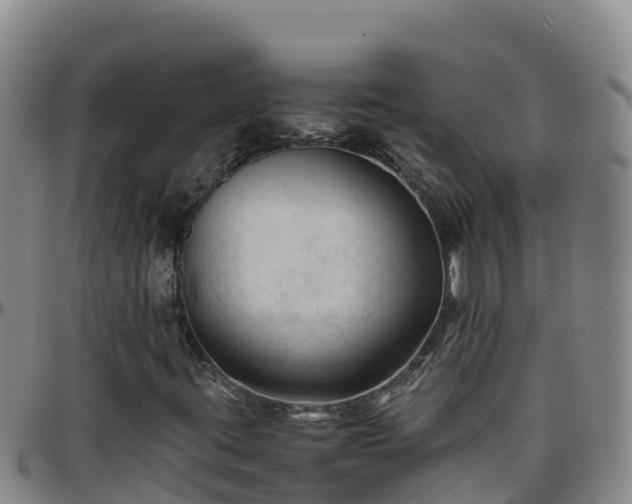 X0000096461395200801311502