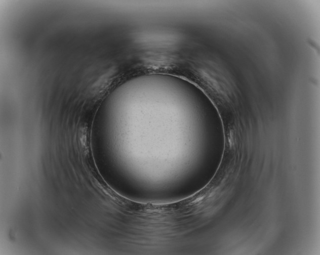 X0000096461396200801311502