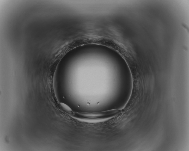 X0000096461397200801311502