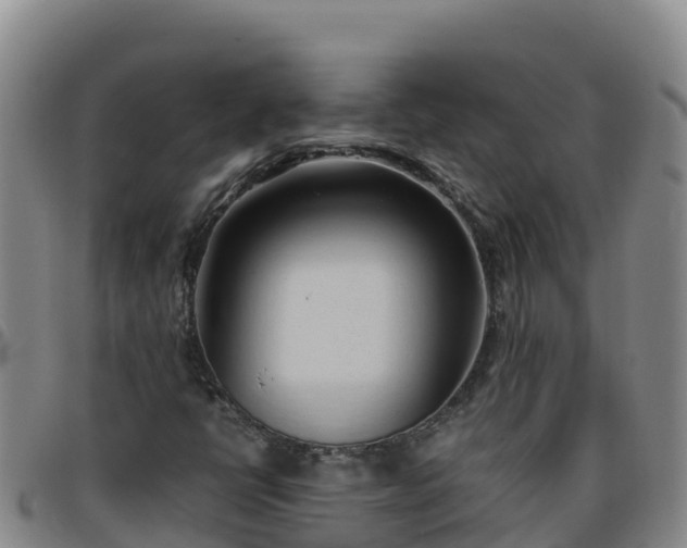 X0000096461398200801311502