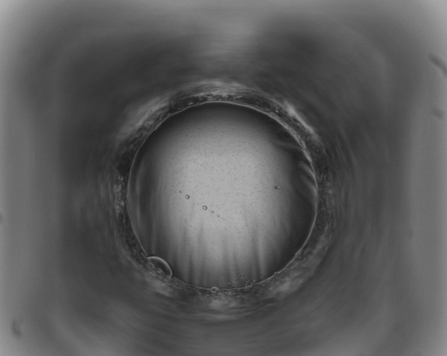 X0000096461399200801311502