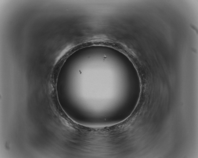 X0000096461400200801311502