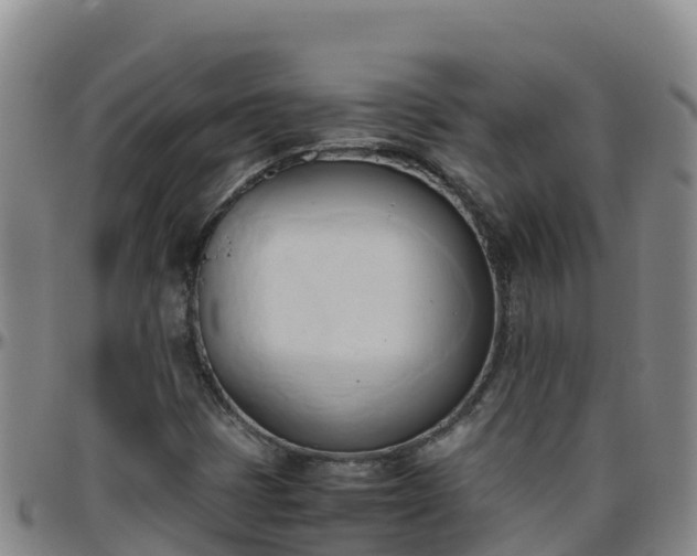 X0000096461401200801311502