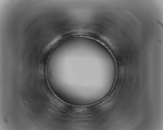 X0000096461403200801311502