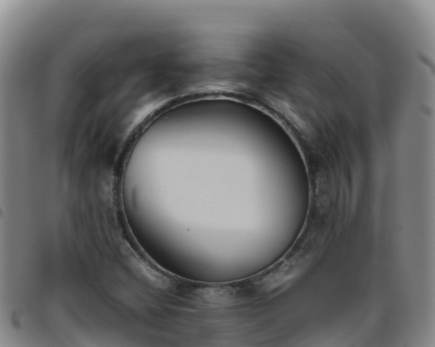 X0000096461404200801311502