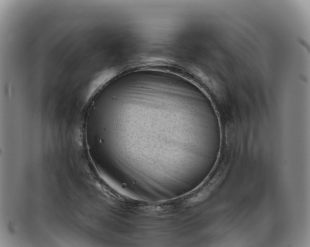 X0000096461405200801311502
