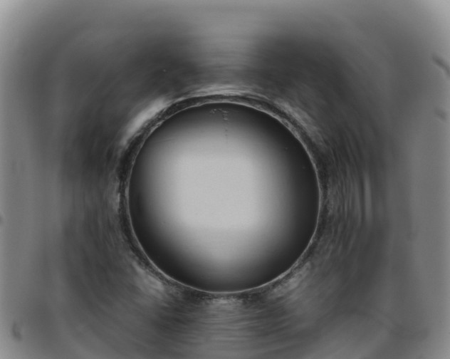 X0000096461406200801311502