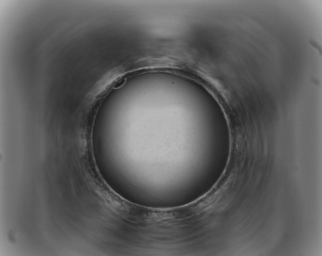X0000096461407200801311502