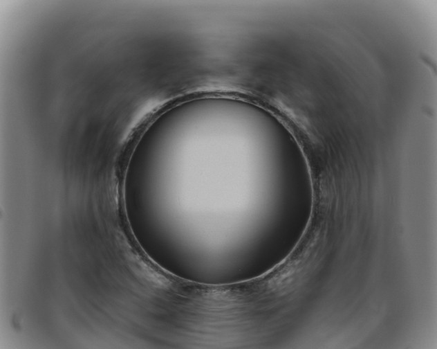 X0000096461408200801311502
