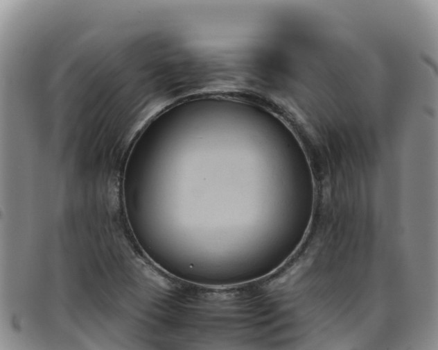 X0000096461409200801311502