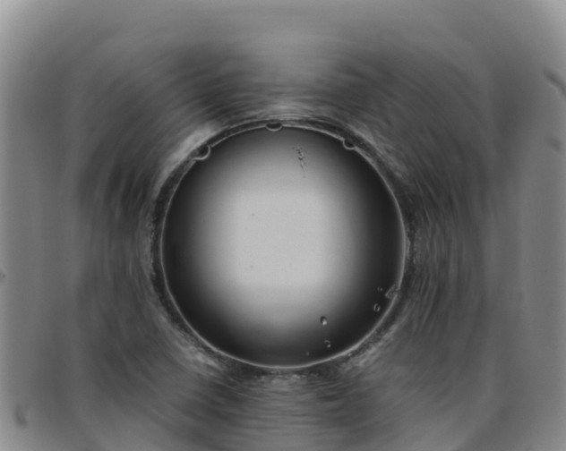 X0000096461410200801311502