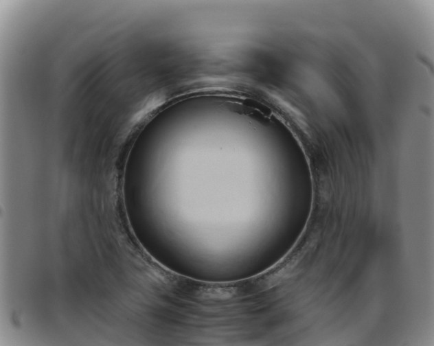 X0000096461411200801311502