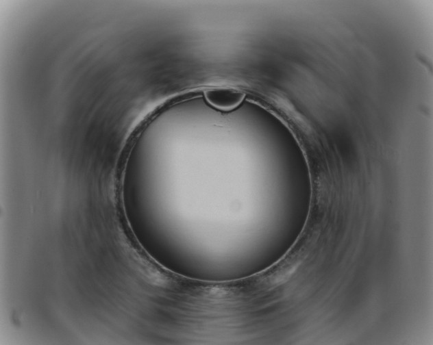 X0000096461412200801311502
