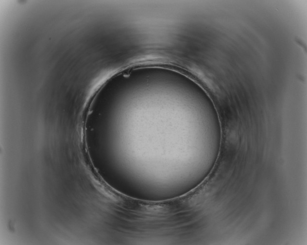 X0000096461413200801311502