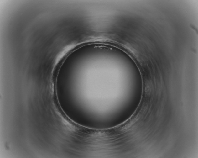 X0000096461414200801311502