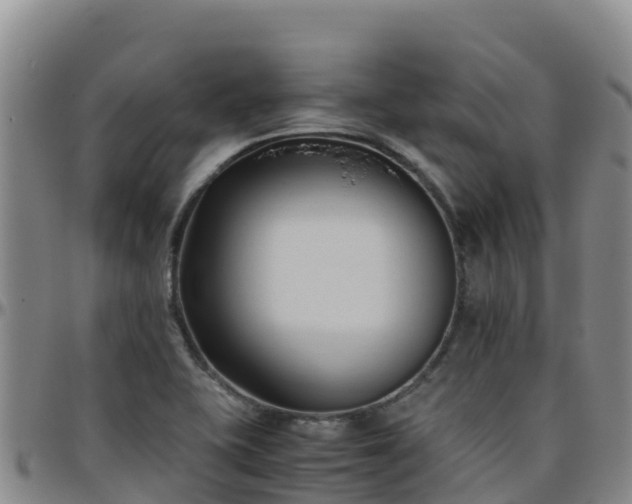 X0000096461415200801311502