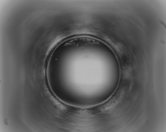 X0000096461416200801311502
