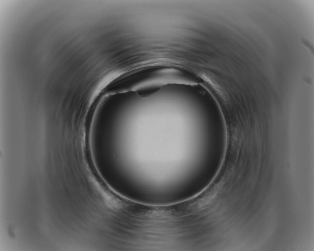 X0000096461418200801311502