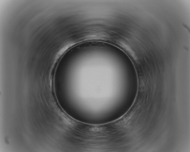 X0000096461419200801311502