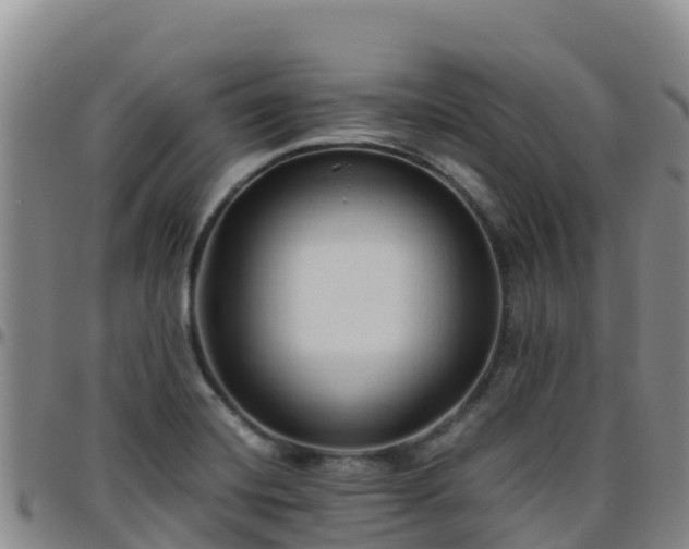 X0000096461420200801311502