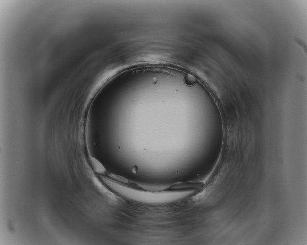 X0000096461421200801311502