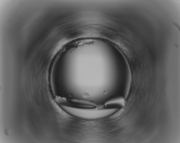X0000096461422200801311502