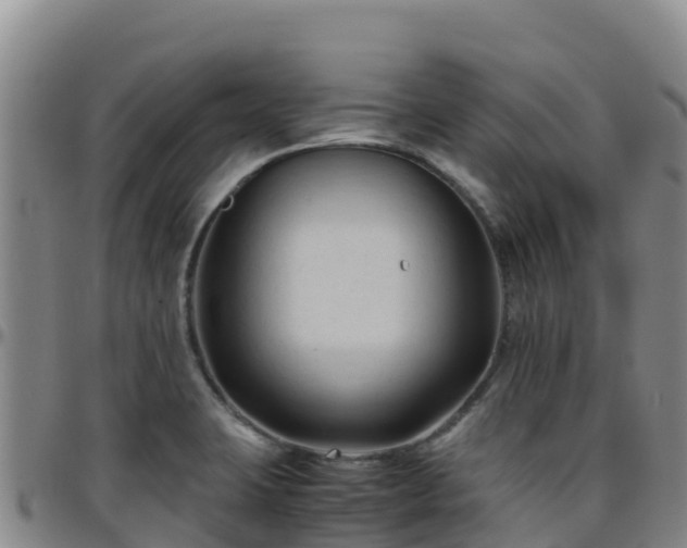 X0000096461423200801311502