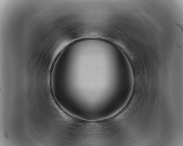 X0000096461424200801311502