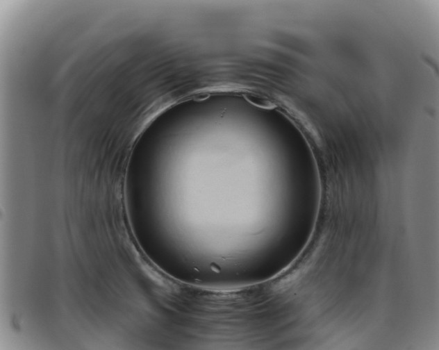 X0000096461425200801311502