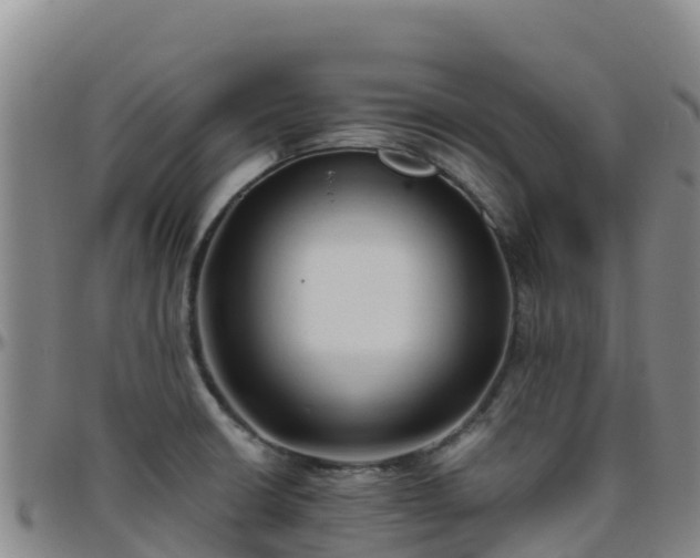 X0000096461426200801311502