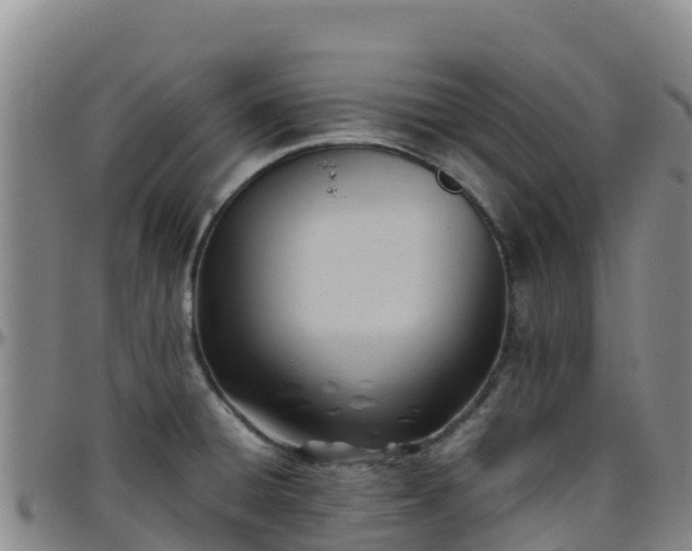 X0000096461428200801311502