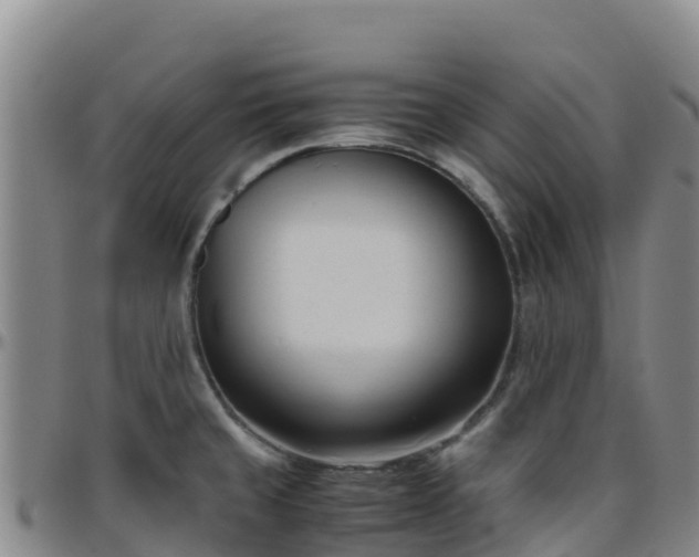 X0000096461429200801311502