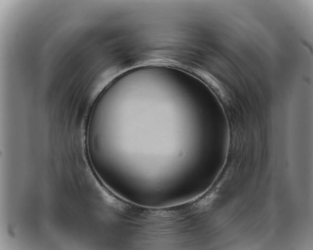 X0000096461430200801311502