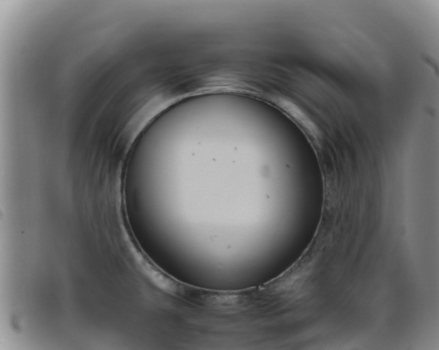 X0000096461431200801311502