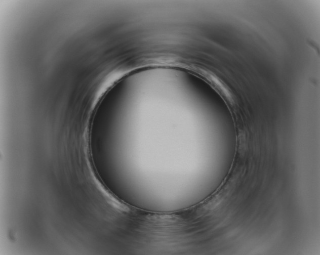 X0000096461432200801311502